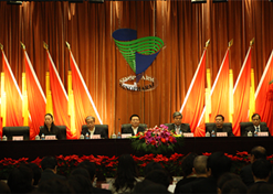 2010年12月，中出服、半岛（中国）外贸和中卫合作共同组建中国国际医药卫生公司（简称半岛（中国）国际）。